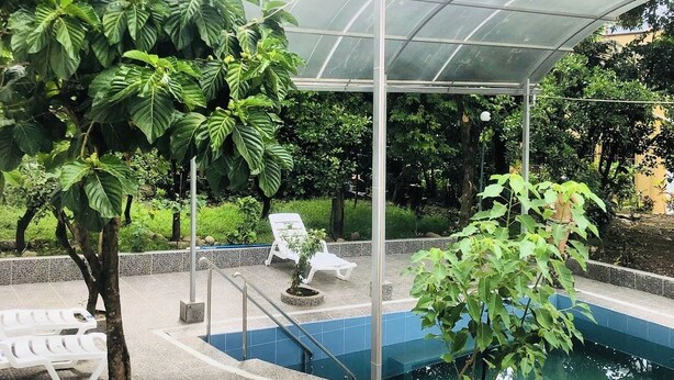 Un espacio exterior cubierto con una piscina, rodeado de plantas en macetas y un área de estar.