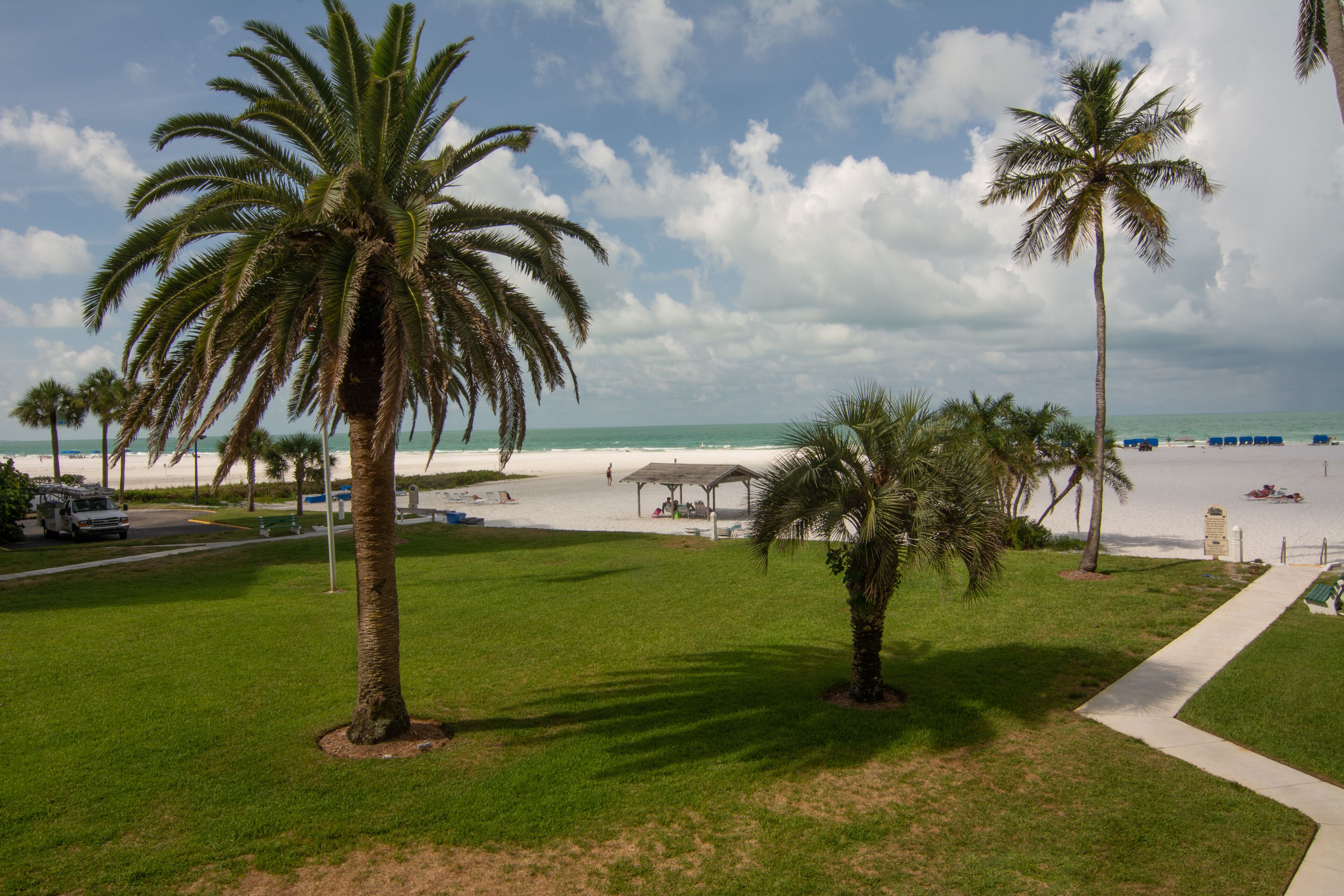 A beach view with palm trees, a sandy area, and a clear sky.