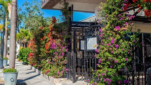 Un restaurante con un letrero que dice "Continental" y mesas al aire libre rodeadas de flores coloridas y palmeras.