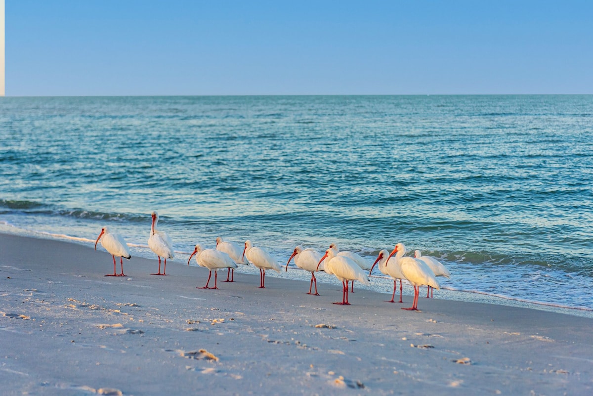 Photo 41 of 4BR 3BA - King Suite - Heated Pool&Spa - Walk or bike to Vanderbilt Beach
