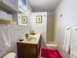 Shower, hair dryer, towels, soap - Spectacular “Seabreeze” view (Christiansted)