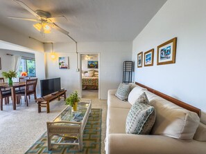 Smart TV, DVD player, books, video library
