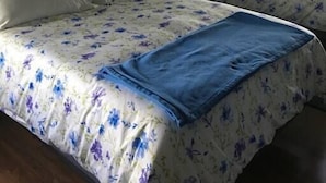 Een kamer met twee bedden, elk met bloemenbedekking en een blauwe deken. Er zijn twee wanddecoraties, één met een vlinder en één met een kleurrijk ontwerp.