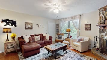 Een televisie, een open haard en een dvd-speler