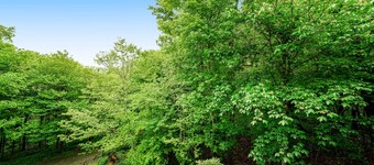Dog friendly Sugar Mountain condo w/mountain views & stone fireplace