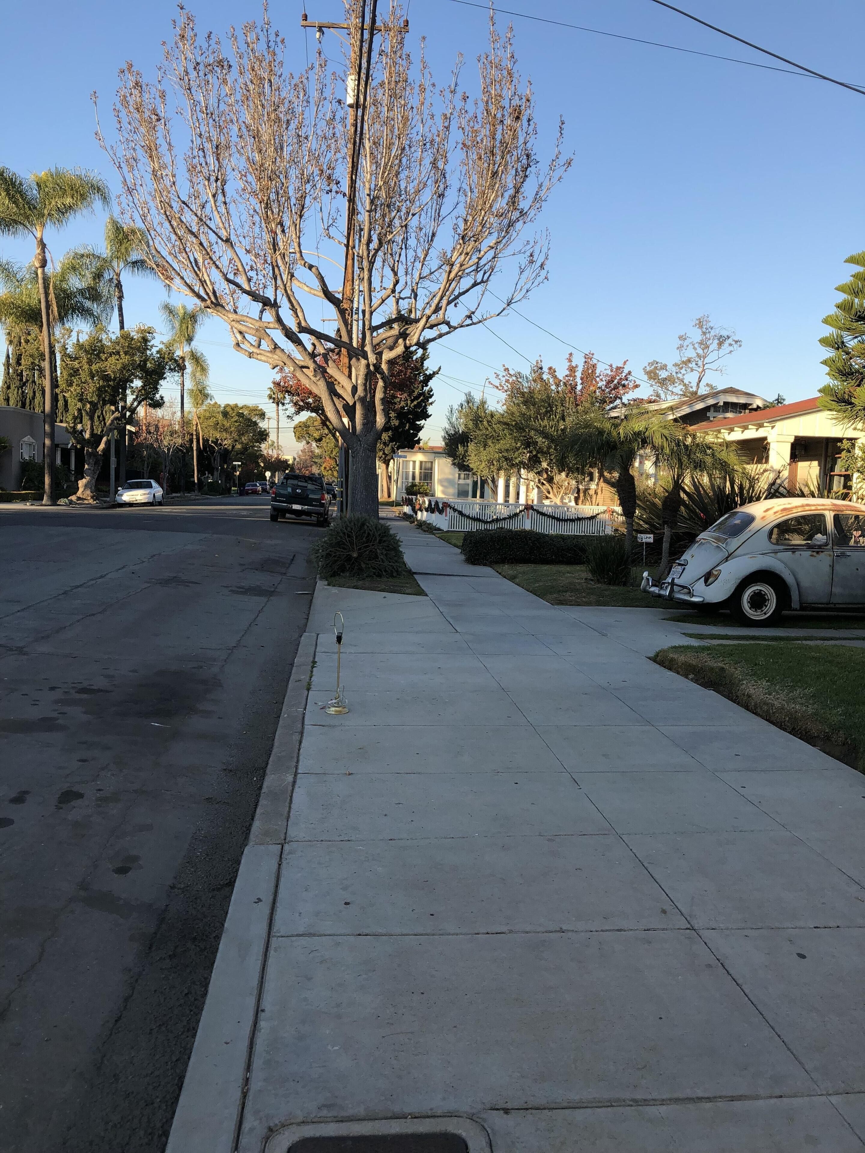 A residential street with a sidewalk, parked cars, and a tree.