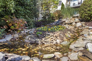 A garden with a small stream, rocks, and a variety of plants. - Laurel Crest (Pigeon Forge)