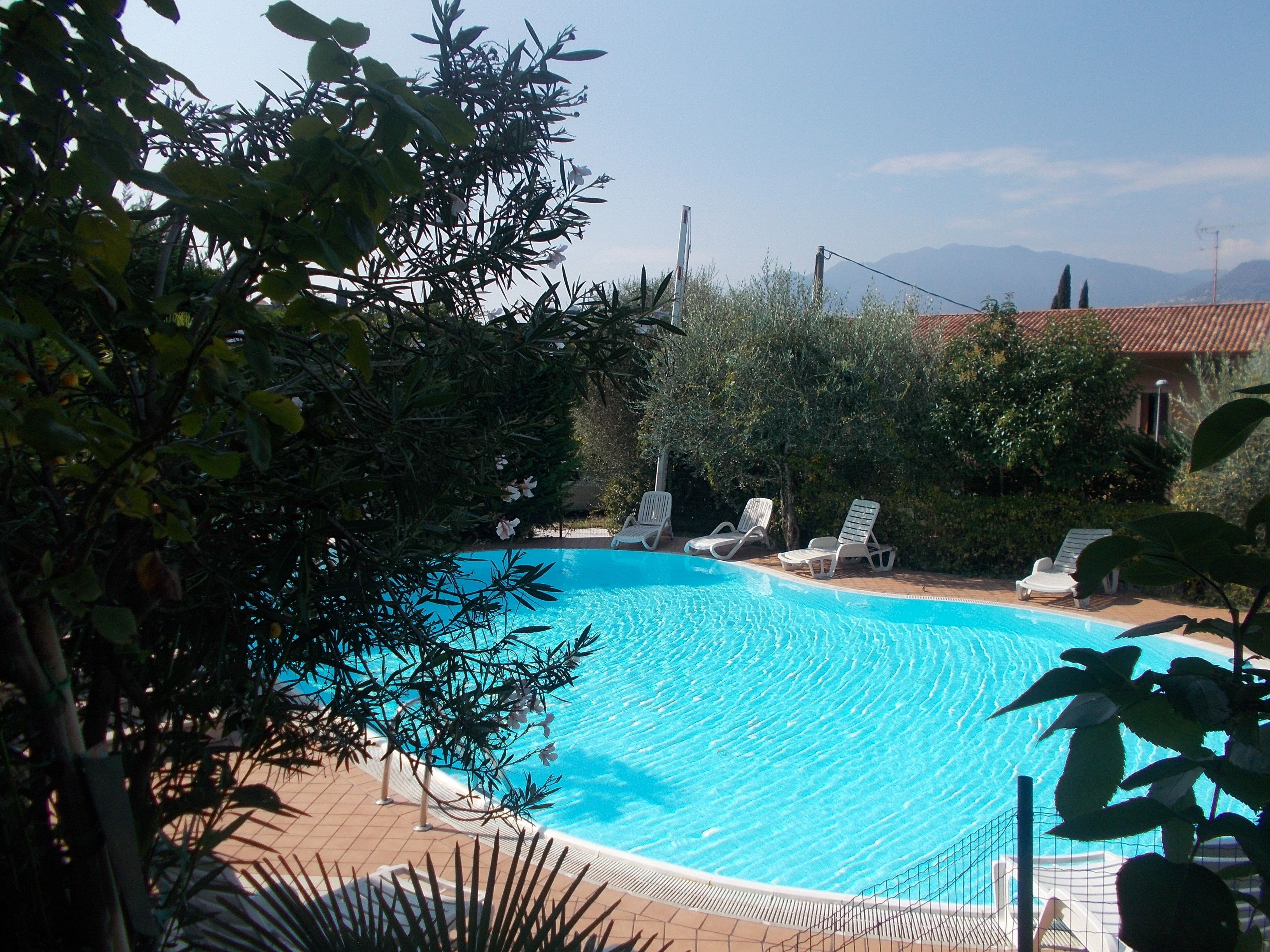 A swimming pool with clear blue water, surrounded by greenery and a tiled deck.