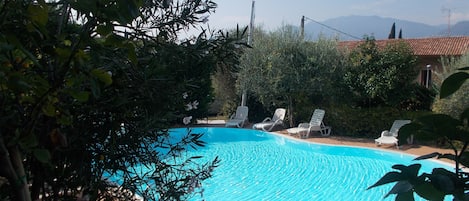 Una piscina con agua cristalina azul, rodeada de follaje y un solárium con baldosas.
