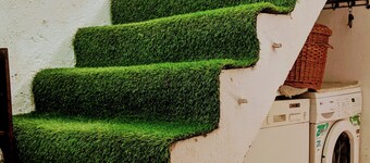 Rejuvenate-your body and the Soul