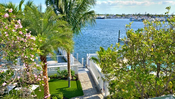 A waterfront property with a paved pathway leading to a dock, surrounded by lush greenery and palm trees.