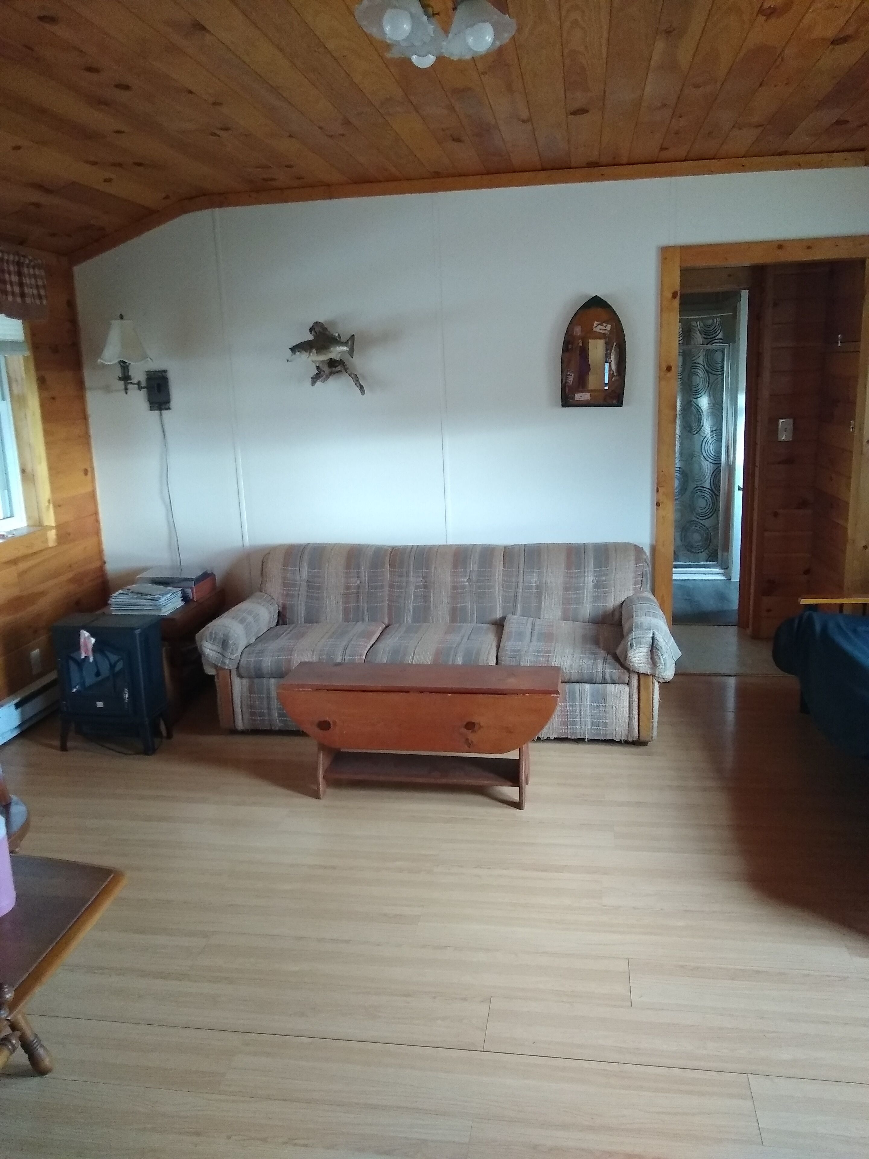 Treasters Cabin *Paddleboat/Great Fishing* ( No fishing license