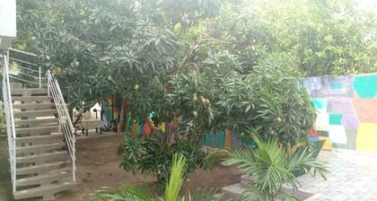 apartamentos por dias el TUCAN