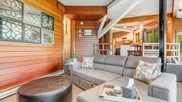 TV, caminetto, libri