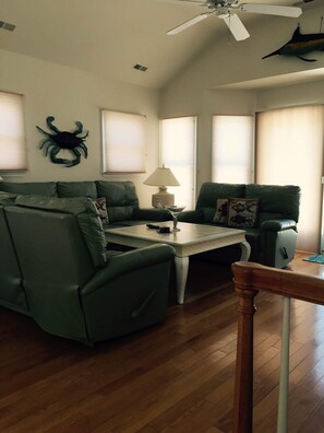 TV, caminetto, lettore DVD, videoteca