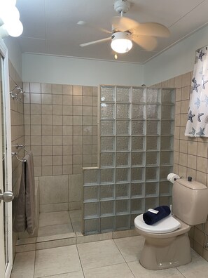 A bathroom with a glass shower enclosure, a toilet, and a ceiling fan.