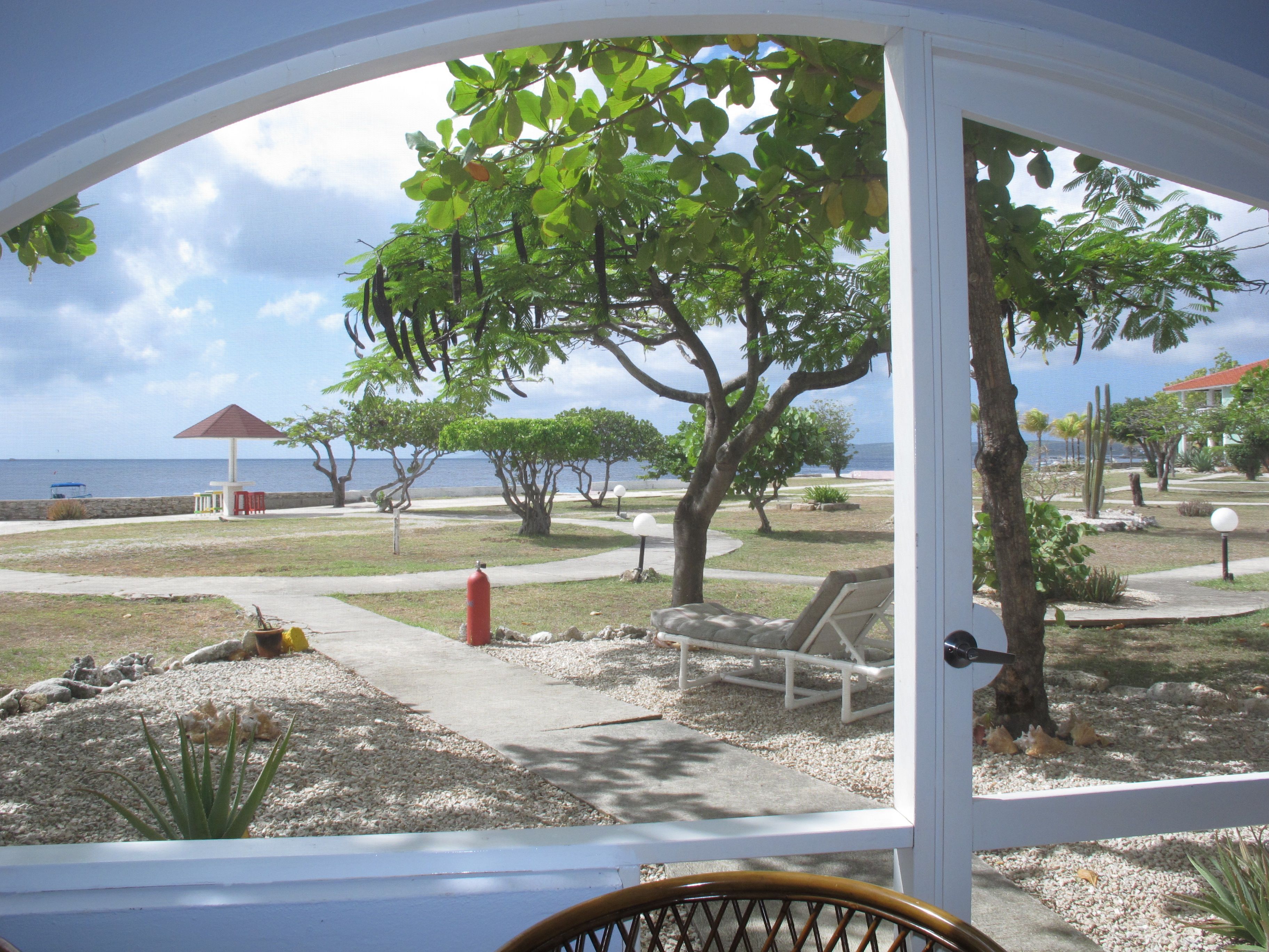 A view from a room with a glass door, overlooking a garden with trees, a bench, and a small table.