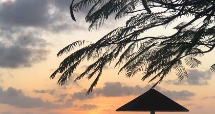 Amplio Oceanfront Studio Condo A3 en Sand Dollar Condominiums