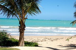 A beach with clear turquoise water, a palm tree, and a sandy shore.