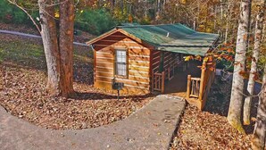 A small log cabin with a green roof, a window, and a door, surrounded by trees and fallen leaves. - Bear Cabin - 2 Bedroom/1 Bath Vacation Rental (Franklin)