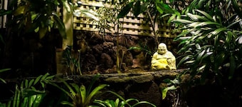 Award Winner - Hawaii's Hidden Hideaway - Bed and Breakfast