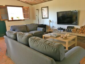 Télévision, cheminée, lecteur de DVD