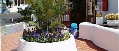 Una jardinera circular con flores, un toldo azul con el texto "PORT ROYALE" y una pared blanca.
