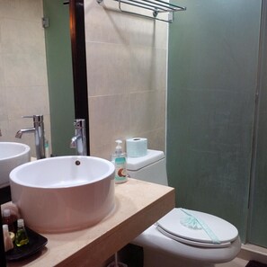 Shower, towels, soap, toilet paper
