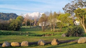 A rural landscape with a road, scattered rocks, and a variety of trees.