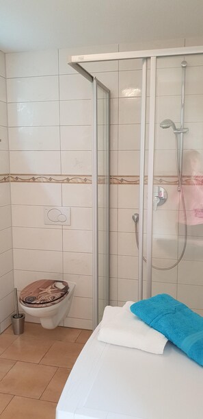 Hair dryer, towels, soap, toilet paper