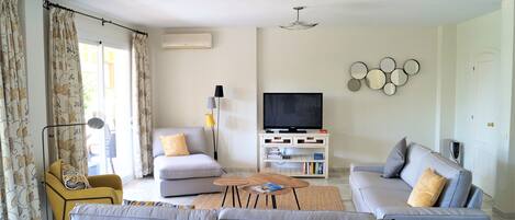 Télévision, cheminée, lecteur de DVD, livres