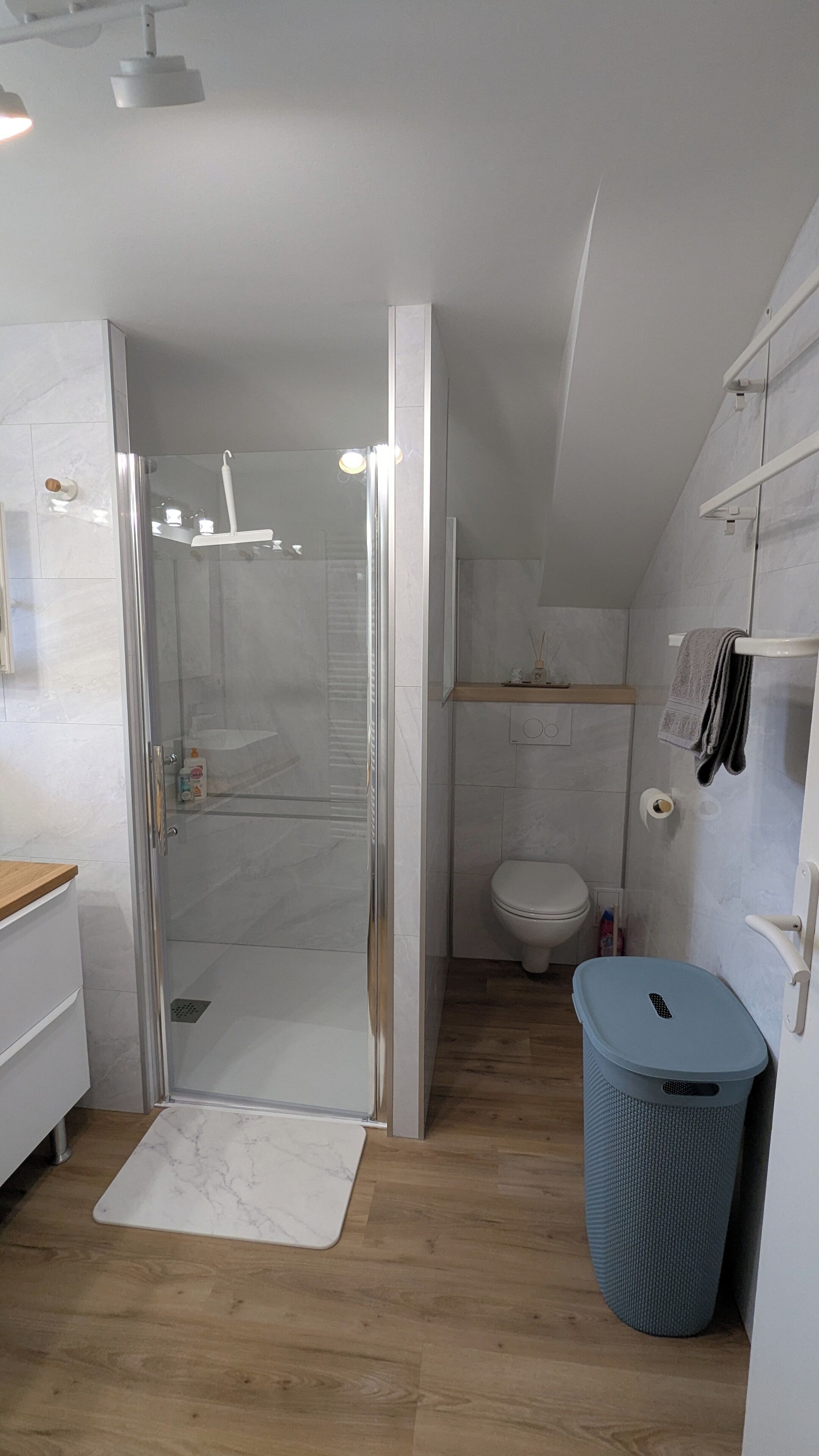 Une salle de bain moderne avec une douche à parois de verre, des toilettes et une poubelle bleue.