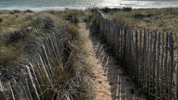 A sandy path leading to the ocean, bordered by tall grasses and a wooden fence. - New apartment with terrace view and sea access 2 people all comfort / bicycles (Saint-Jean-de-la-Rivière)
