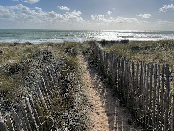 A sandy path leading to the ocean, bordered by tall grasses and a wooden fence.