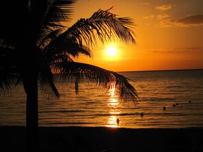 Plage, chaises longues, serviettes de plage