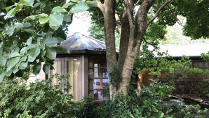 A small, rustic wooden structure surrounded by dense foliage, likely a shed or storage area. - 1901 Historic Home's Guest Cottage with pool  (Lafayette)