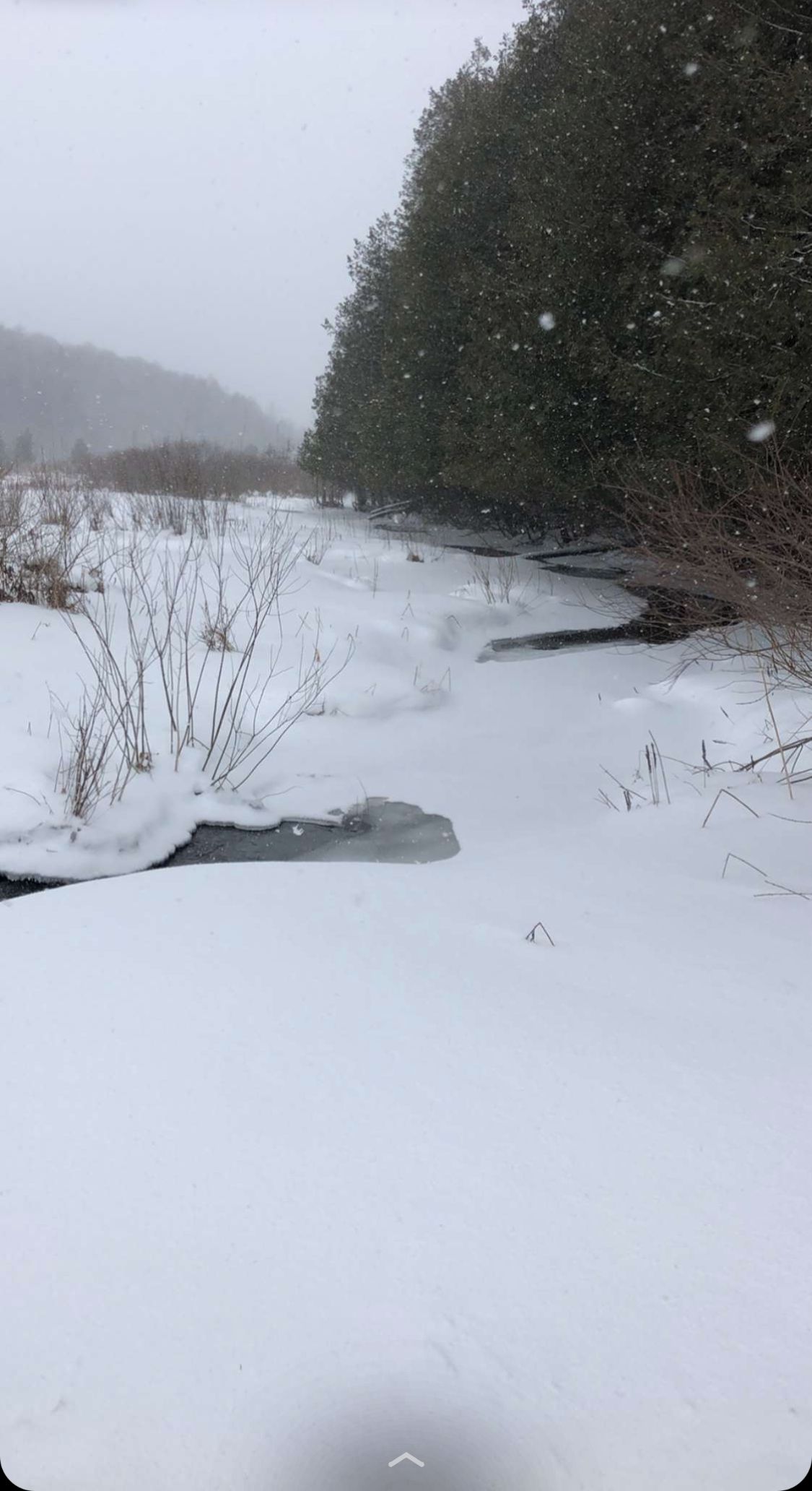 A snowy landscape with a path leading through a forest.