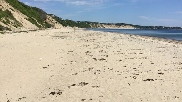 Una playa extensa de arena con laderas suaves y vegetación escasa.