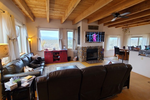 Smart TV, fireplace, books