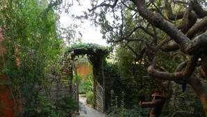 Un chemin de pierres qui traverse un jardin agrémenté d’une pergola en bois et de différentes plantes.