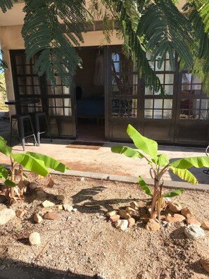Terrace/patio - Panoramic Pacific Ocean and Sierra de la Laguna mountain views (todos santos)