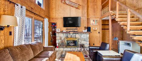 電視、壁爐、DVD 播放機、書籍