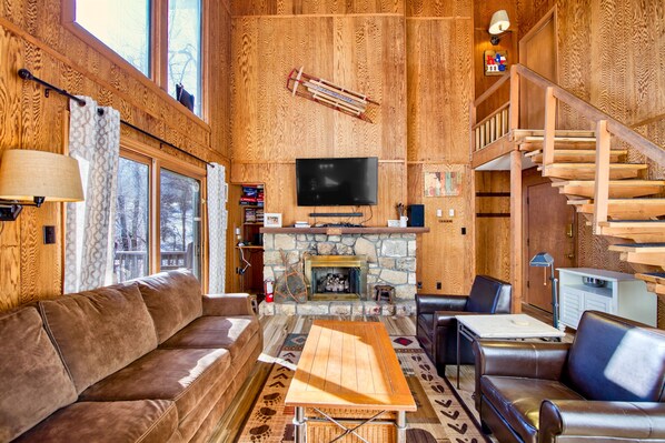 TV, fireplace, DVD player, books