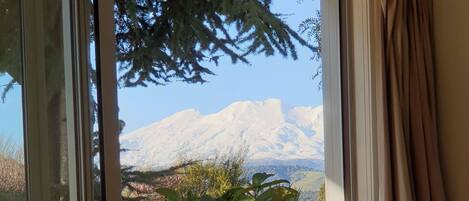 Servei de restauració