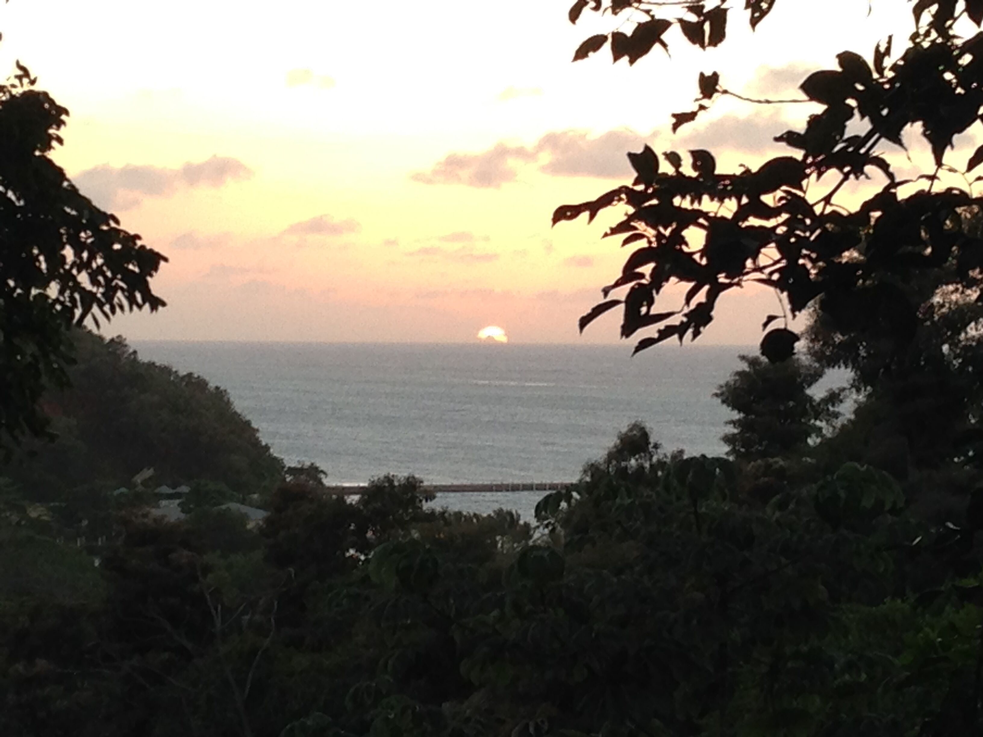 A coastal landscape with a sunset over the ocean, surrounded by dense foliage.