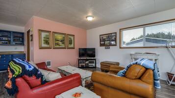 TV, lettore DVD, libri, videoteca