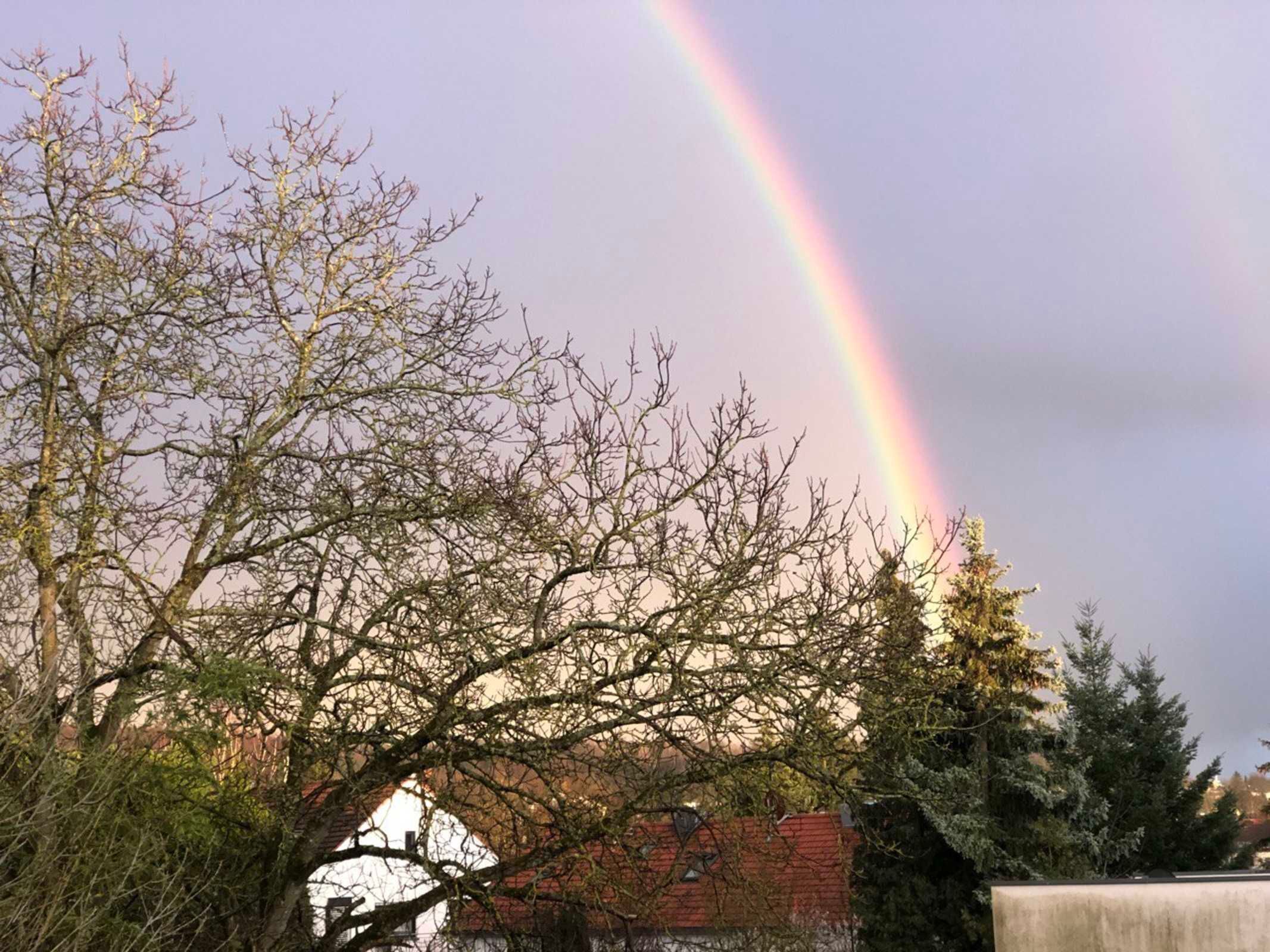 A rainbow over a building with bare trees and a brick wall.
