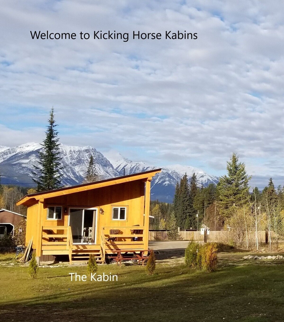 オーナーのプロフィール画像