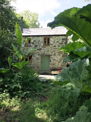 Abgeschiedenes Waldhaus in der Nähe des SW Coast Path