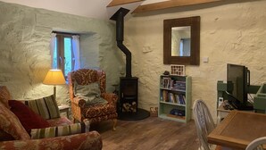 Een gezellige woonkamer met een open haard, een boekenkast, een eettafel en een fauteuil met een patroon.